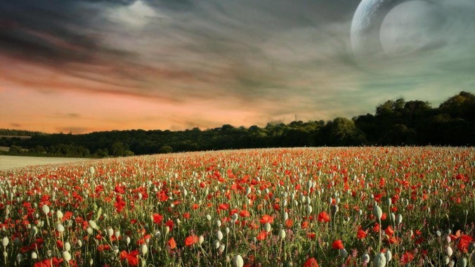 你为什么对kotlin失去好感?